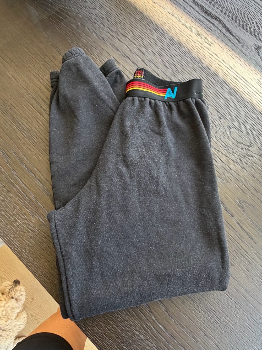 Aviator Nation Sweat pants sz small